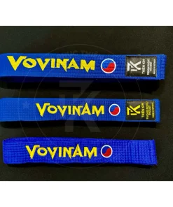 Đai vovinam loại phong trào