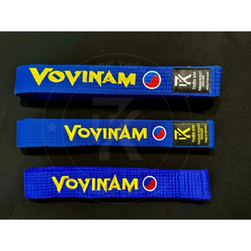Đai vovinam loại phong trào