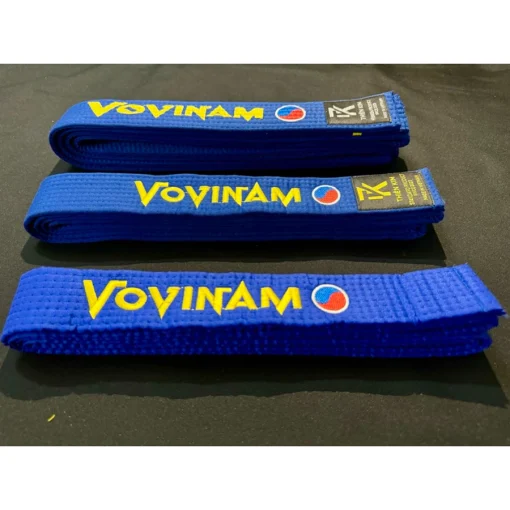 Đai vovinam loại phong trào