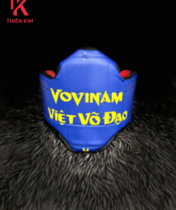 Giáp Vovinam Thiên Kim