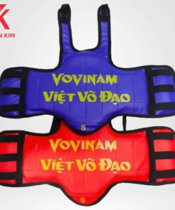 Giáp Vovinam Thiên Kim